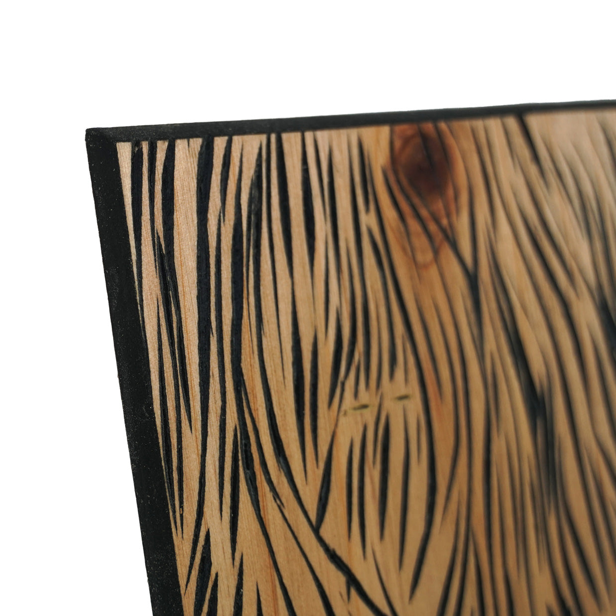 Baixo-relevo pintado